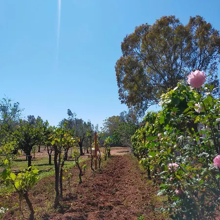 Σπίτι διακοπών Casa Miclari