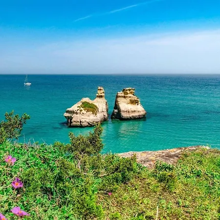 بيت للعطل Casa Miclari *