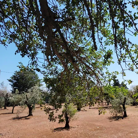 بيت للعطل Casa Miclari ميليندونيو