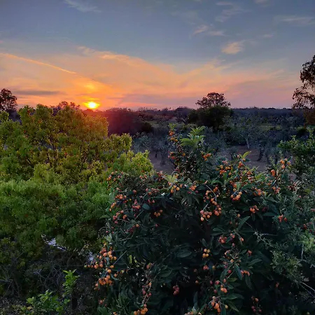 Casa Miclari بيت للعطل ميليندونيو