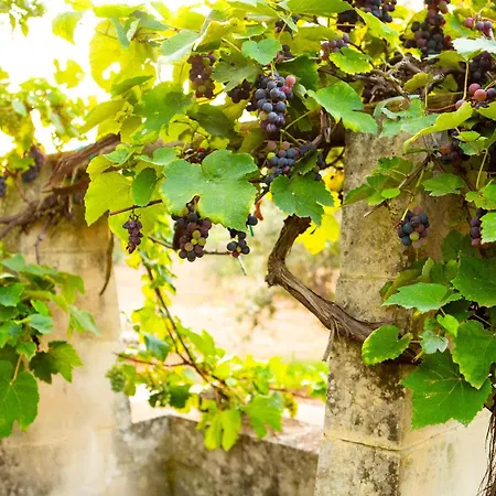 Casa Miclari * ميليندونيو